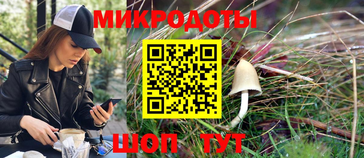 Галлюциногенные грибы Psilocybe Калач-на-Дону