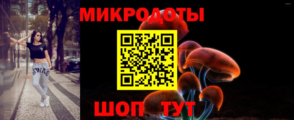 Псилоцибиновые грибы Cubensis  Вход с VPN  дарнет шоп  Калач-на-Дону  Галлюциногенные грибы Cubensis 